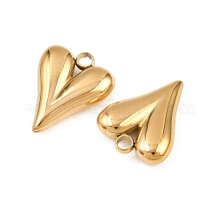 304 Stainless Steel Pendants&nbsp;X-STAS-P437-06G