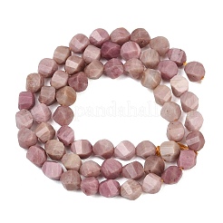 Natural Rhodonite Beads Strands&nbsp;G-P611-C27-01