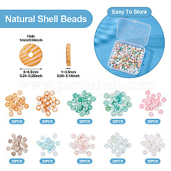 200Pcs 10 Colors Natural Shell Beads Strands&nbsp;BSHE-TA0001-19