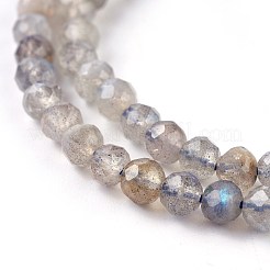 Natural Labradorite Beads Strands&nbsp;G-O176-04A