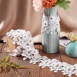Polyester Lace Trim&nbsp;OCOR-WH0068-84A