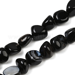 Natural Black Agate Beads Strands&nbsp;G-L630-F01-01H