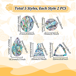 10Pcs 5 Styles Natural Paua Shell Cabochons&nbsp;FIND-GA0004-93