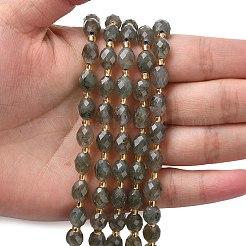 Natural Labradorite Beads Strands&nbsp;G-F809-A40-01