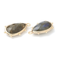 Natural Labradorite Pendants&nbsp;G-B009-02G-G
