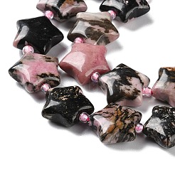 Natural Rhodonite Beads Strands&nbsp;G-NH0005-29