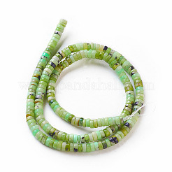 Natural Serpentine Beads Strands&nbsp;G-F576-02