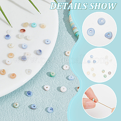 2 Strands 4 Colors Natural Shell Beads Strands&nbsp;BSHE-NB0001-27