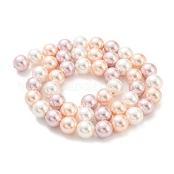 Electroplated Shell Pearl Beads Strands&nbsp;SHEL-F008-03B-06