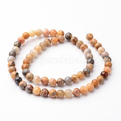 Round Natural Crazy Lace Agate Bead Strands&nbsp;G-J346-07-6mm