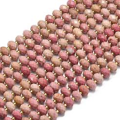 Natural Rhodonite Beads Strands&nbsp;G-P573-A39-01