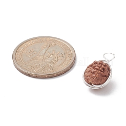 Natural Rudraksha Copper Wire Wrapped Pendants&nbsp;PALLOY-JF02066-01