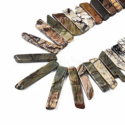 Natural Picasso Stone/Picasso Jasper Beads Strands&nbsp;G-S355-19-01