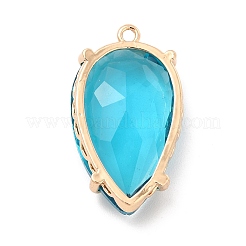 K9 Glass Pendants&nbsp;KK-E071-05KCG