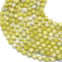 Natural Jade Beads Strands&nbsp;G-K389-B05-01
