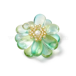 Transparent Glass Pendants&nbsp;PALLOY-MZ00723-07