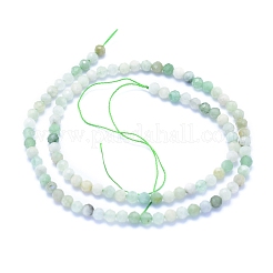 Natural Myanmar Jade/Burmese Jade Beads Strands&nbsp;G-I279-E07