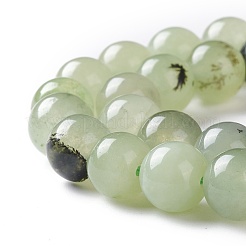 Natural White Jade Imitation Prehnite Beads Strands&nbsp;G-I299-F12-8mm