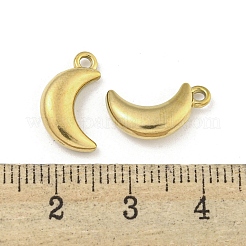 Ion Plating(IP) 304 Stainless Steel Charms&nbsp;STAS-I307-537G