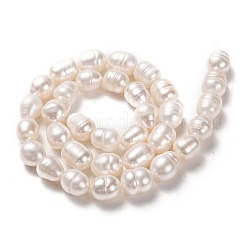Natural Cultured Freshwater Pearl Beads Strands&nbsp;PEAR-L033-81-01