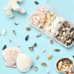 5 Styles Mixed Natural Shell Beads&nbsp;SSHEL-YW0001-04