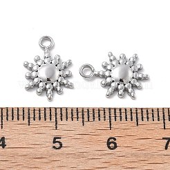 304 Stainless Steel Charms&nbsp;STAS-Z121-12P