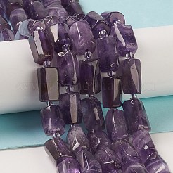 Natural Amethyst Beads Strands&nbsp;G-M403-B23