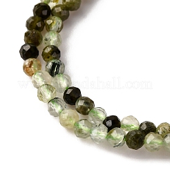 Natural Prehnite Beads Strands&nbsp;G-L629-B05-2mm
