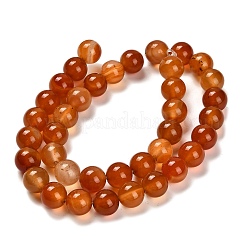 Dyed Natural Red Agate Beads Strands&nbsp;G-G203-10H-10mm