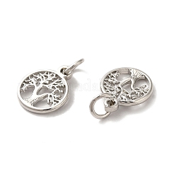 Brass Charms&nbsp;X-KK-Q403-01P
