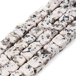 Natural White Sesame Jasper Beads Strands&nbsp;G-T139-6x6-33A