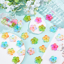 48Pcs 6 Colors Transparent Resin Cabochons&nbsp;RESI-SC0006-62