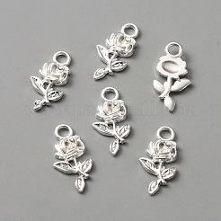 Alloy Pendants&nbsp;FIND-WH0111-261S
