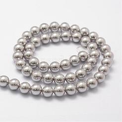 Shell Pearl Beads Strands&nbsp;BSHE-L026-05-6mm