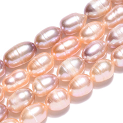 Natural Cultured Freshwater Pearl Beads Strands&nbsp;PEAR-N012-06S