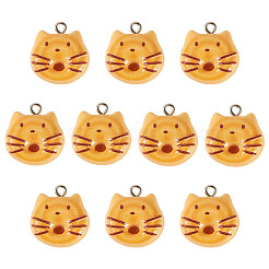Opaque Resin Pendants&nbsp;RESI-TAC0022-17