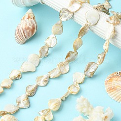 Handmade Shell Beads Strands&nbsp;X-PBB471-1