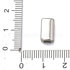 304 Stainless Steel Slide Charms&nbsp;STAS-A138-08P