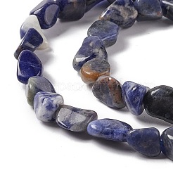 Natural Sodalite Beads Strands&nbsp;G-E115-01