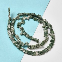 Natural Green Spot Jasper Beads Strands&nbsp;G-Z045-A02-01
