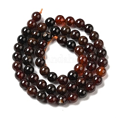 Natural Garnet Beads Strands&nbsp;G-H300-A01-01