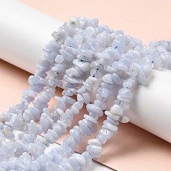 Natural Blue Lace Agate Chip Beads Strands&nbsp;G-E271-73-01