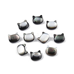 Natural Black Lip Shell Beads&nbsp;SSHEL-N003-148A