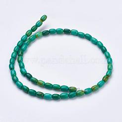 Natural Magnesite Beads Strands&nbsp;TURQ-K003-01B