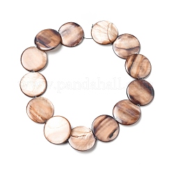 Natural Shell Beads Strands&nbsp;BSHE-G029-07