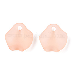 Transparent Acrylic Beads&nbsp;MACR-S373-106-D06-A