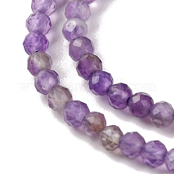Natural Amethyst Beads Strands&nbsp;G-A235-A03-01