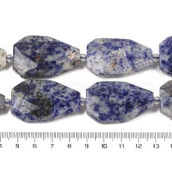Natural Blue Spot Jasper Beads Strands&nbsp;G-P548-B10-01