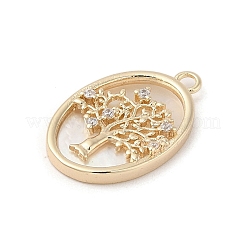 Brass Micro Pave Clear Cubic Zirconia Pendants&nbsp;KK-A207-08G