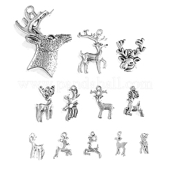 Tibetan Style Alloy Pendants&nbsp;TIBE-CJ0001-06-RS